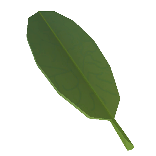 コカインの葉のイメージ画像